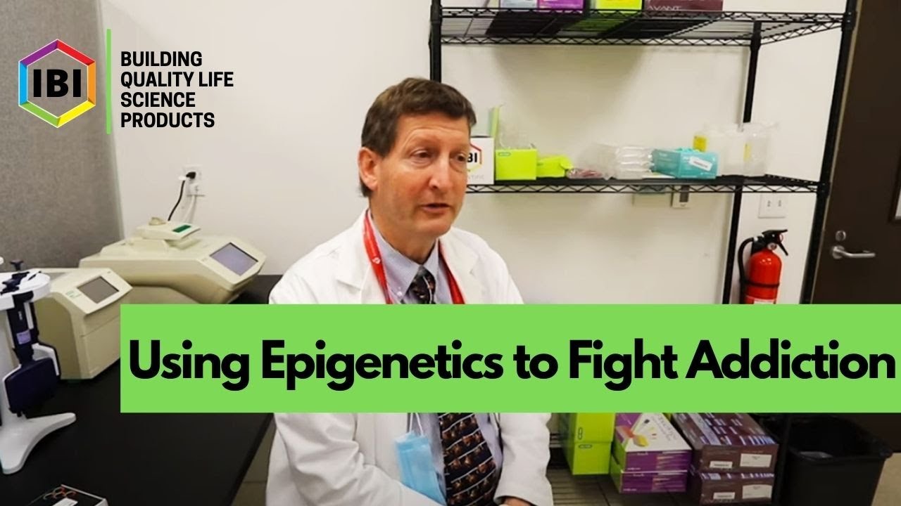Use Epigenetics to Help Fight Addiction - A collaboration with BDI