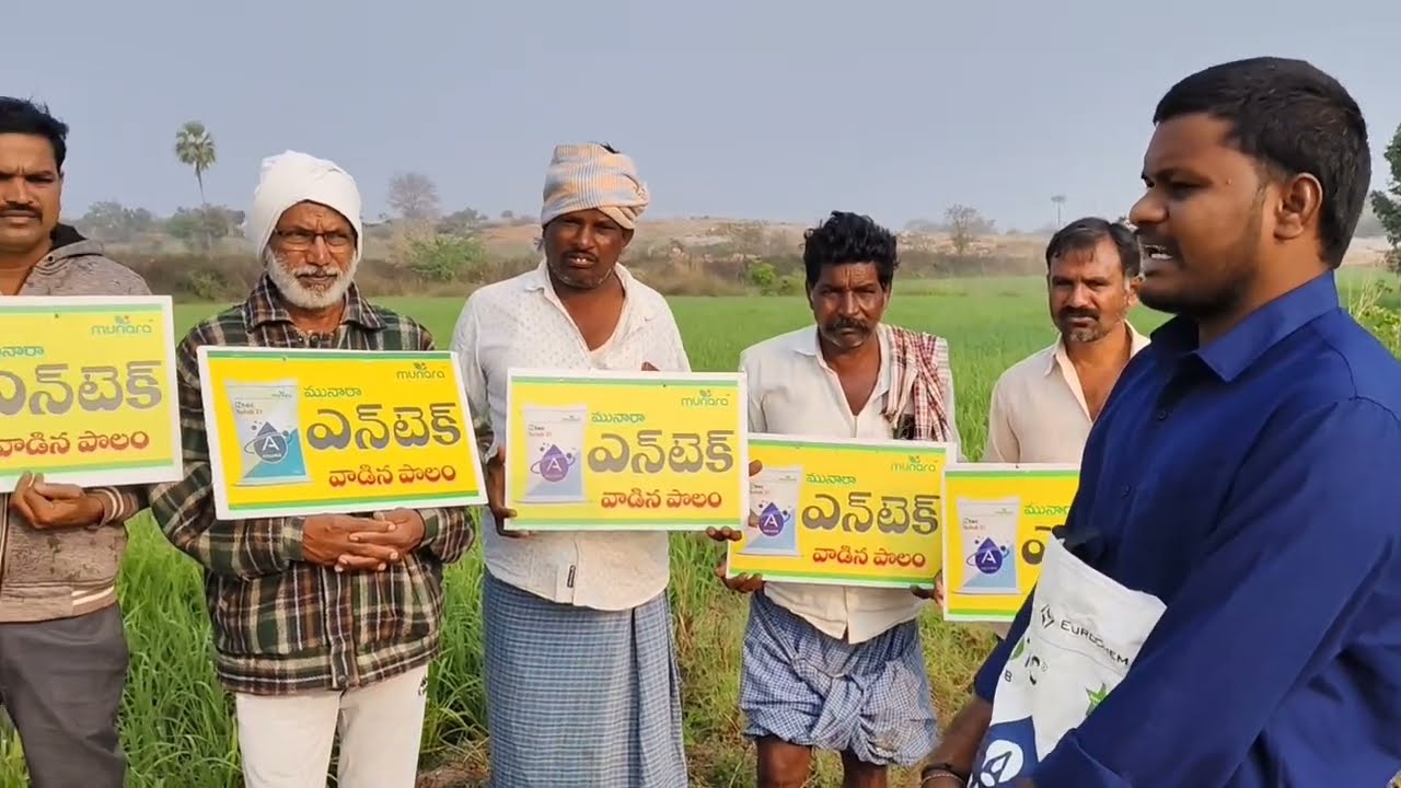 ENTEC వాడిన రైతు సంతోషం😊#external #shortsfeed #shortfeed #ytshorts #ytshots #farming #farmer #shorts