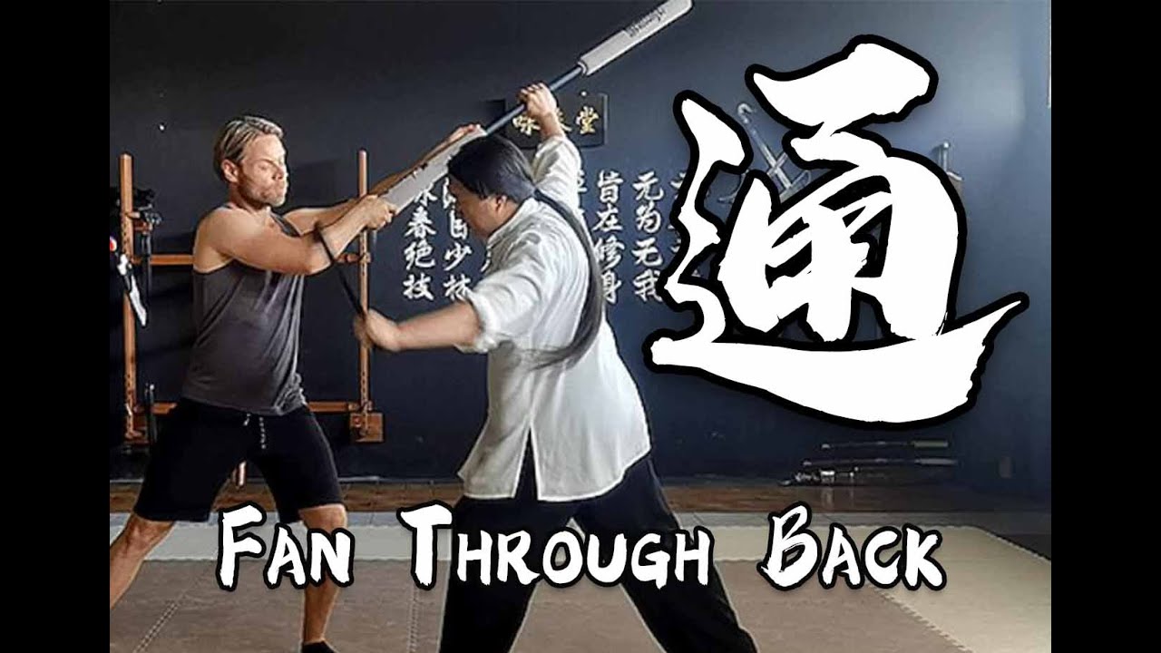 Tai Chi 24 Application - Section 20: Fan Through Back - 闪通臂