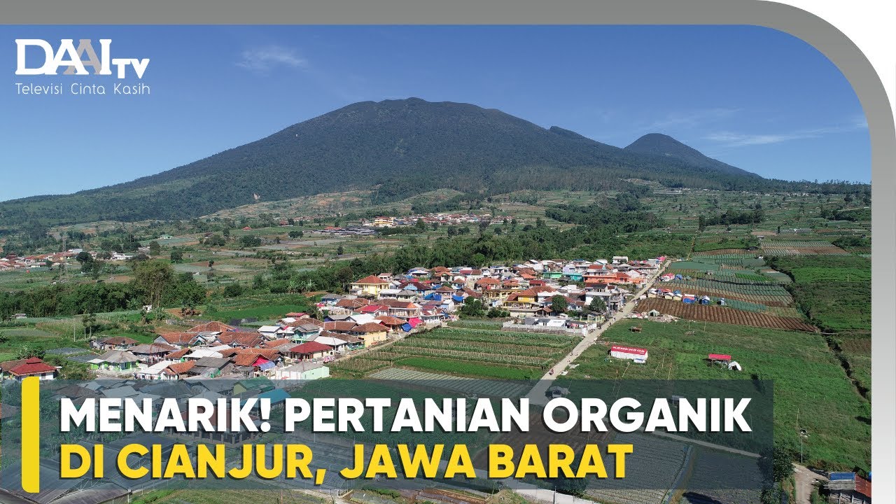 Keren nih! Pertanian Organik Cianjur, Jawa Barat - Quality Farm