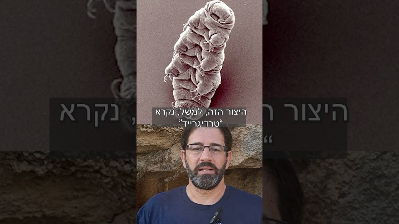 האם החיים הגיעו מהחלל?