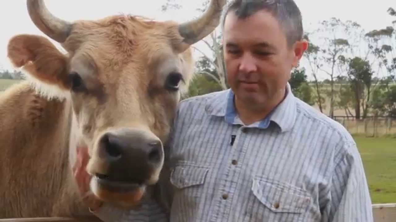 Introduction to the Animal Justice Party