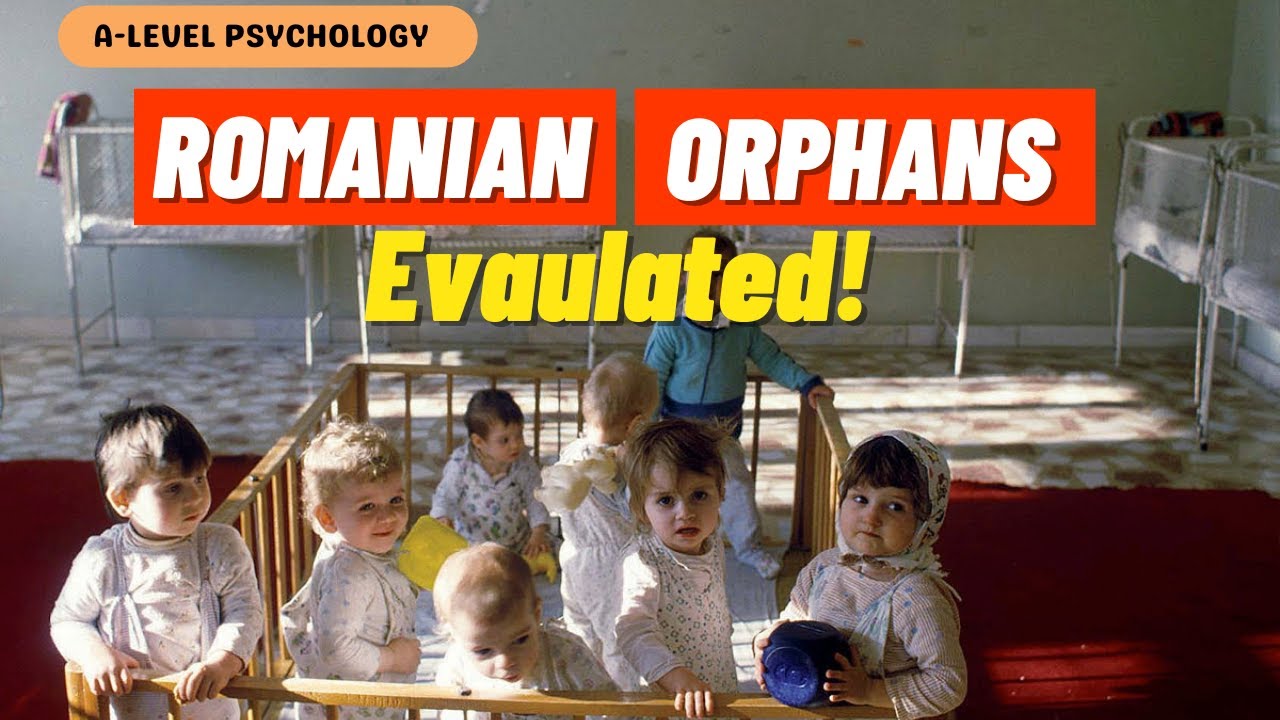 ОЦЕНКА румынских исследований сирот | Влияние институционализации
