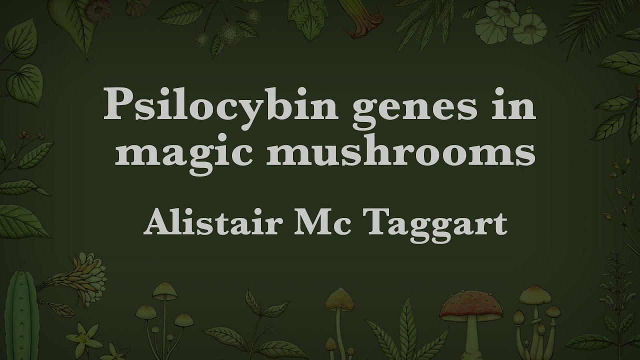 Alistair Mc Taggart - Psilocybin genes in magic mushrooms - Update