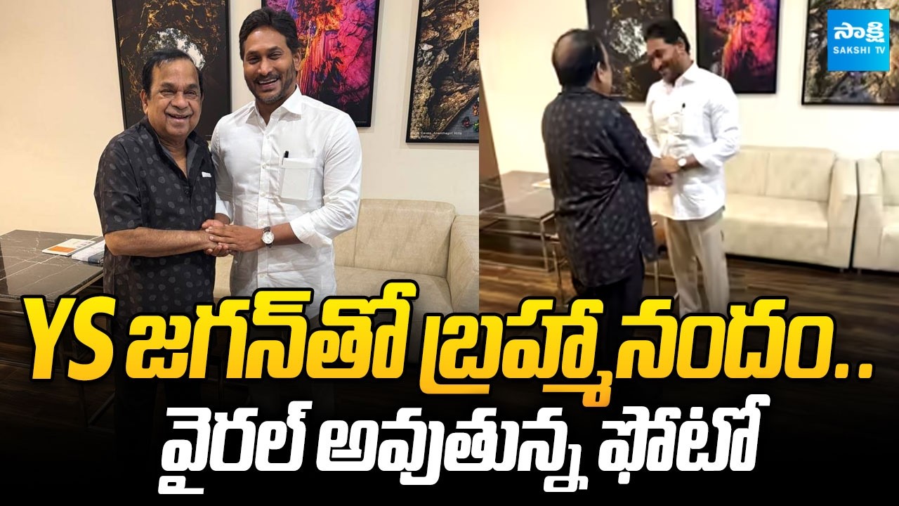 YS Jagan & Brahmanandam EXCLUSIVE Visuals at Vijayawada Airport | Sakshi TV Cinema