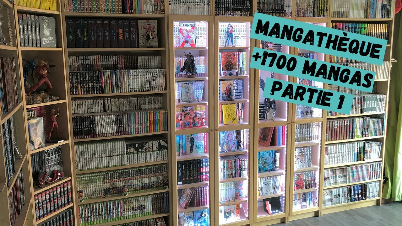 Ma collection + 1700 manga, partie 1