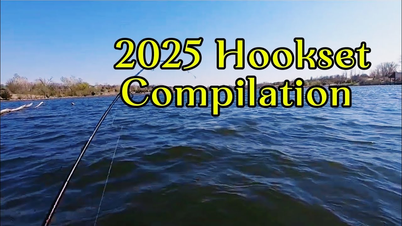 2025 Hookset Compilation: Nice fish, little fish, swings and misses!