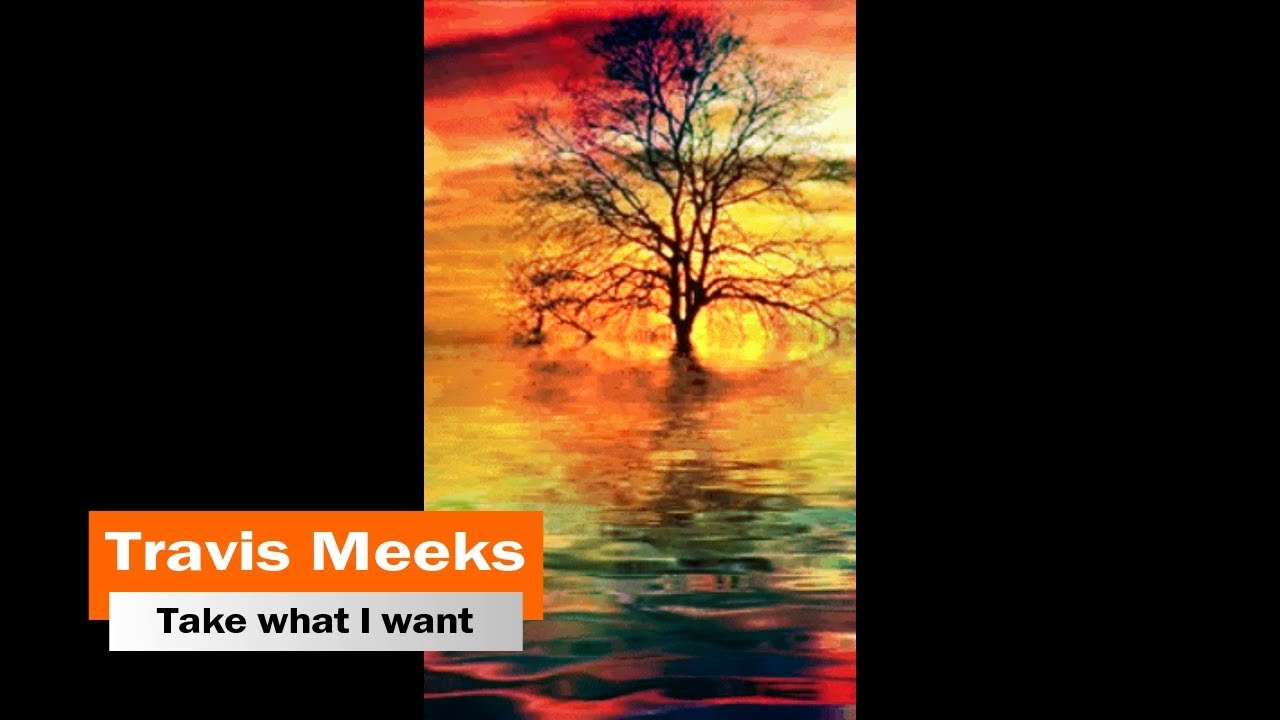 Travis Meeks (Days of the New) - Take what I want