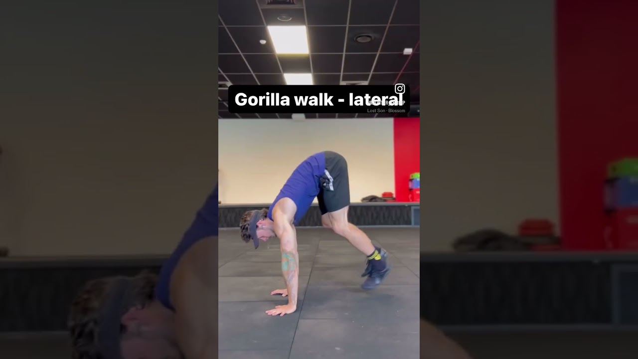 4 Animal Flow Movements #exercise #gym #fitnessworkouts #workout #fitness #chest #animal #animalflow