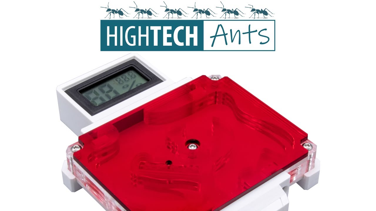 High Tech Ants | Acrylic Ant Nest Small