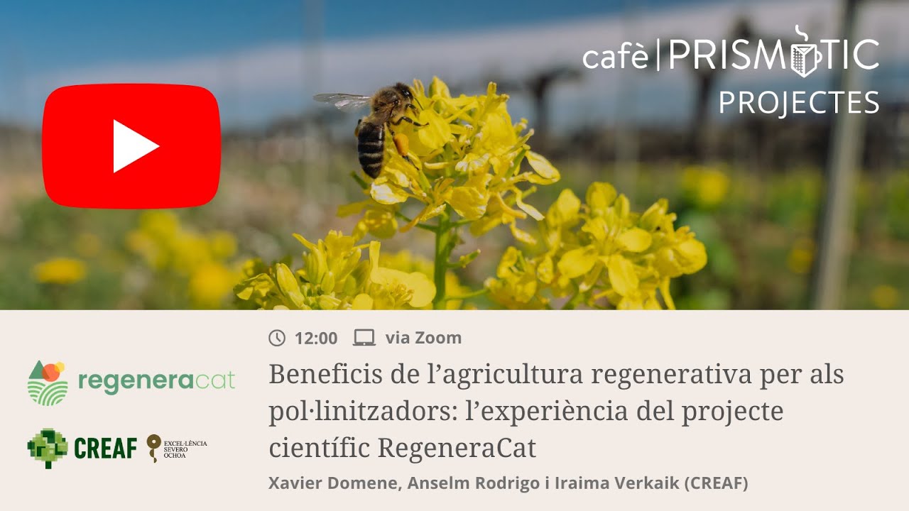 caf&egrave; Prism&agrave;tic - agricultura regenerativa i pol&middot;linitzadors