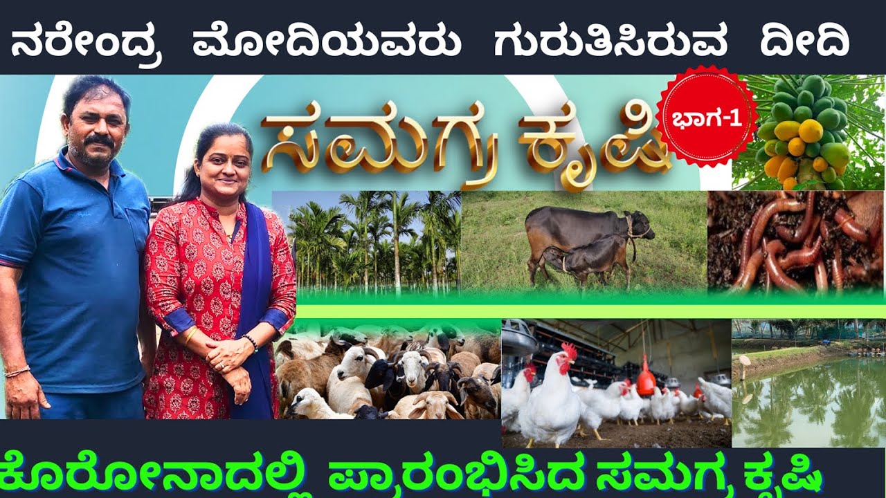 ಸಮಗ್ರ ಕೃಷಿ ಪದ್ಧತಿ 🪴| Integrated Farming System | Cost effective 💵| ಉಮೇಶ್ ಚುರ್ಚುಗುಂಡಿ | Shivamogga