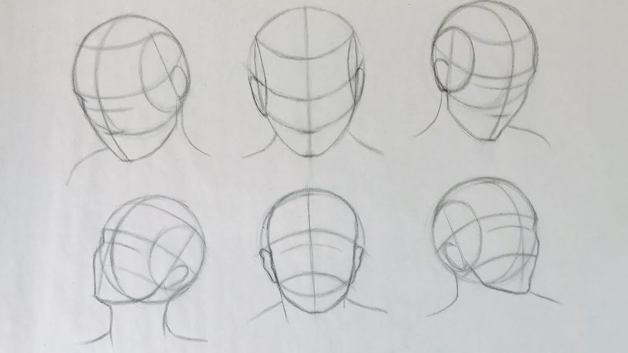 How to Draw head in different angles using Loomis method - 3