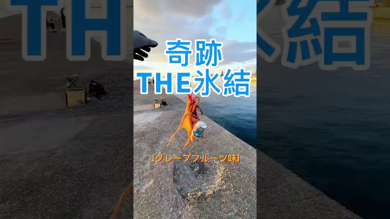 🐙真冬の奇跡のタコ釣り氷結編🐙　2026年4/100匹目　#タコ釣り タコ釣り  #たこ釣り 
