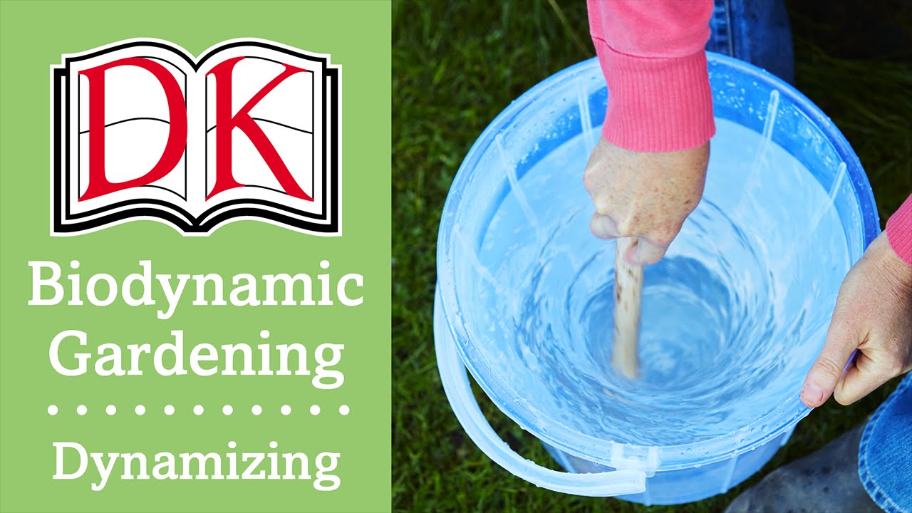 Biodynamic Gardening: How to Dynamize Biodynamic Preps