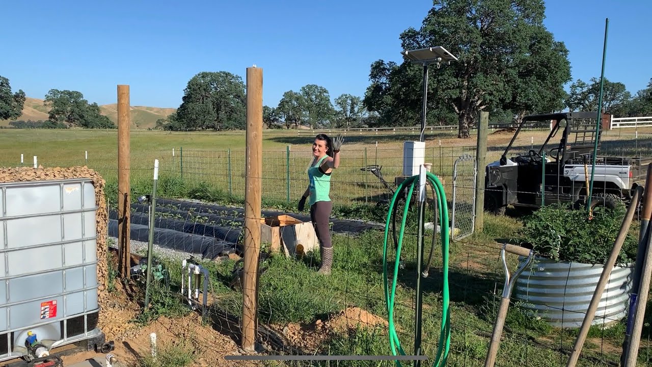 Watering the off grid garden using the Milwaukee 18 volt water pump