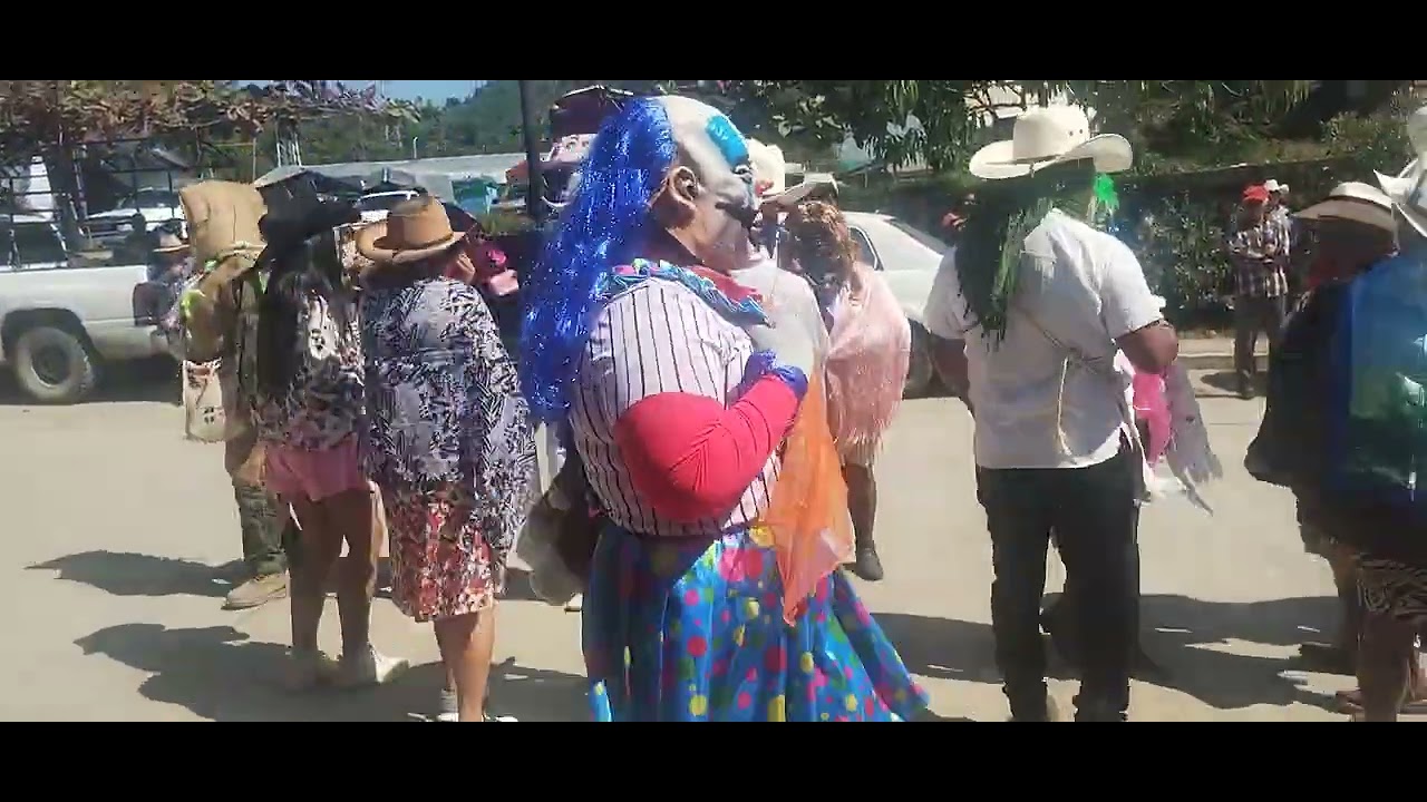 Carnaval pisaflores Veracruz 2026