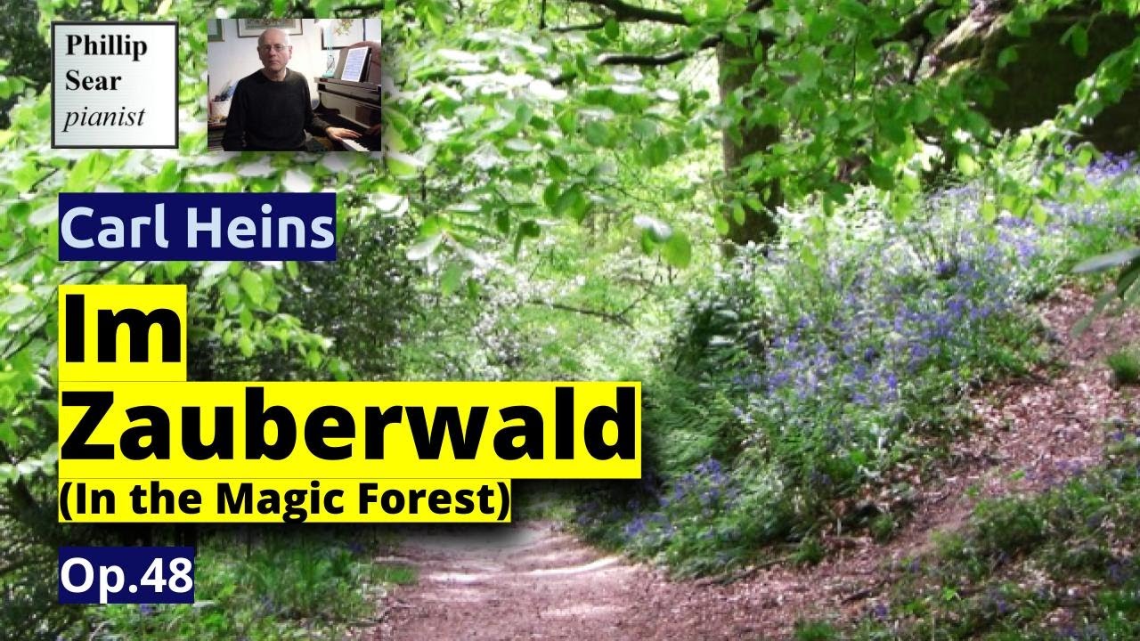 Carl Heins: Im Zauberwald, Op.48