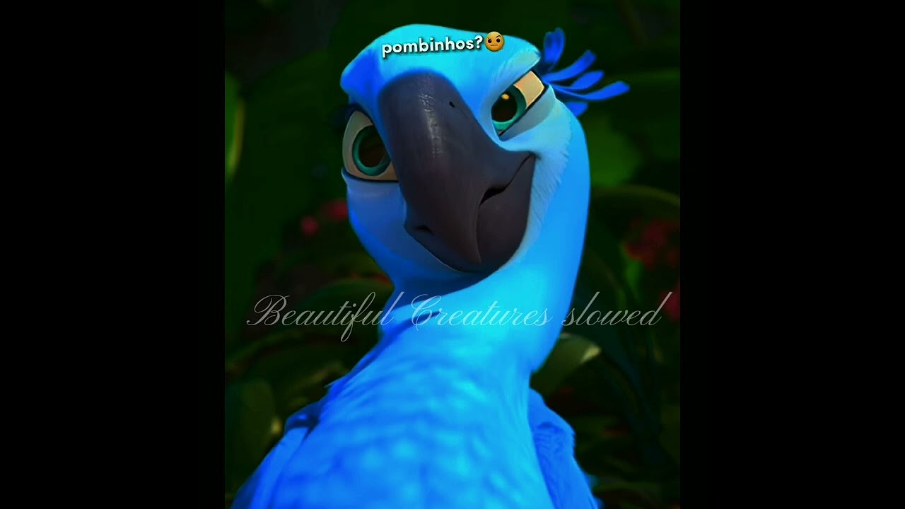 Beautiful Creatures slowed down 🔵💙 #rio2