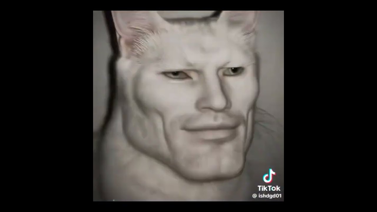 TikTok audios cause I stay up WAYYYY TOO LONG part 44