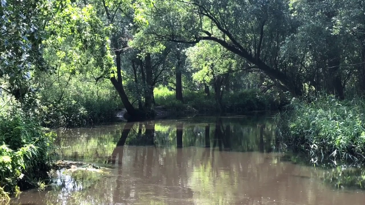Sint-Oedenrode, 20 Jun 2020