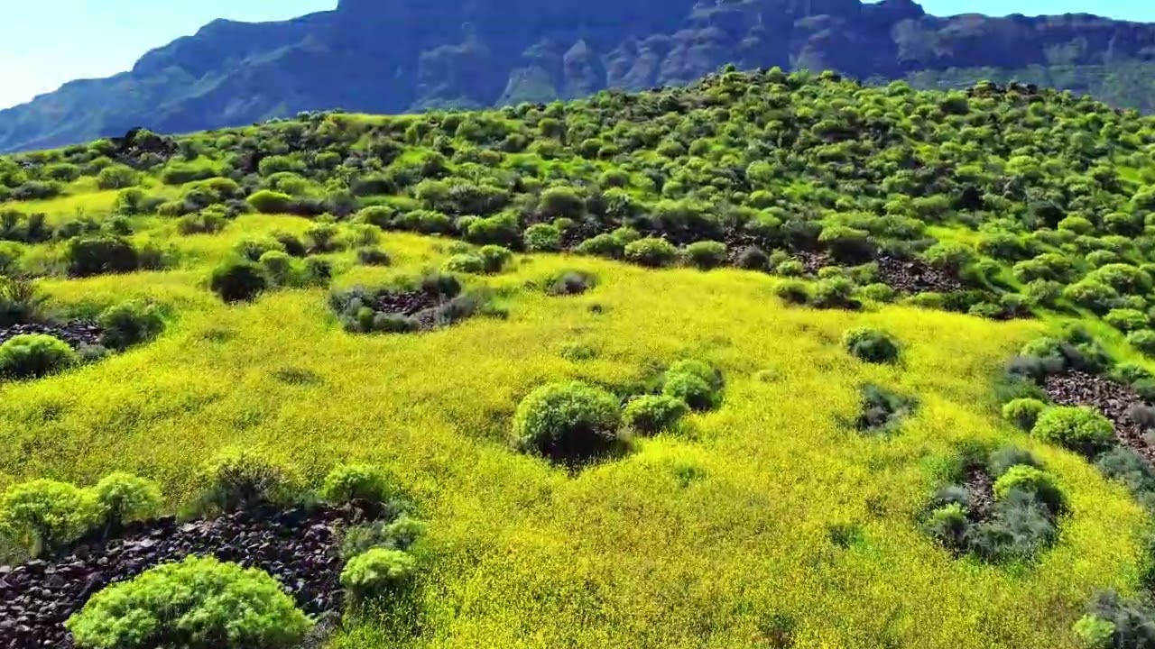 Gran Canaria Santa Lucia Febr. 2026