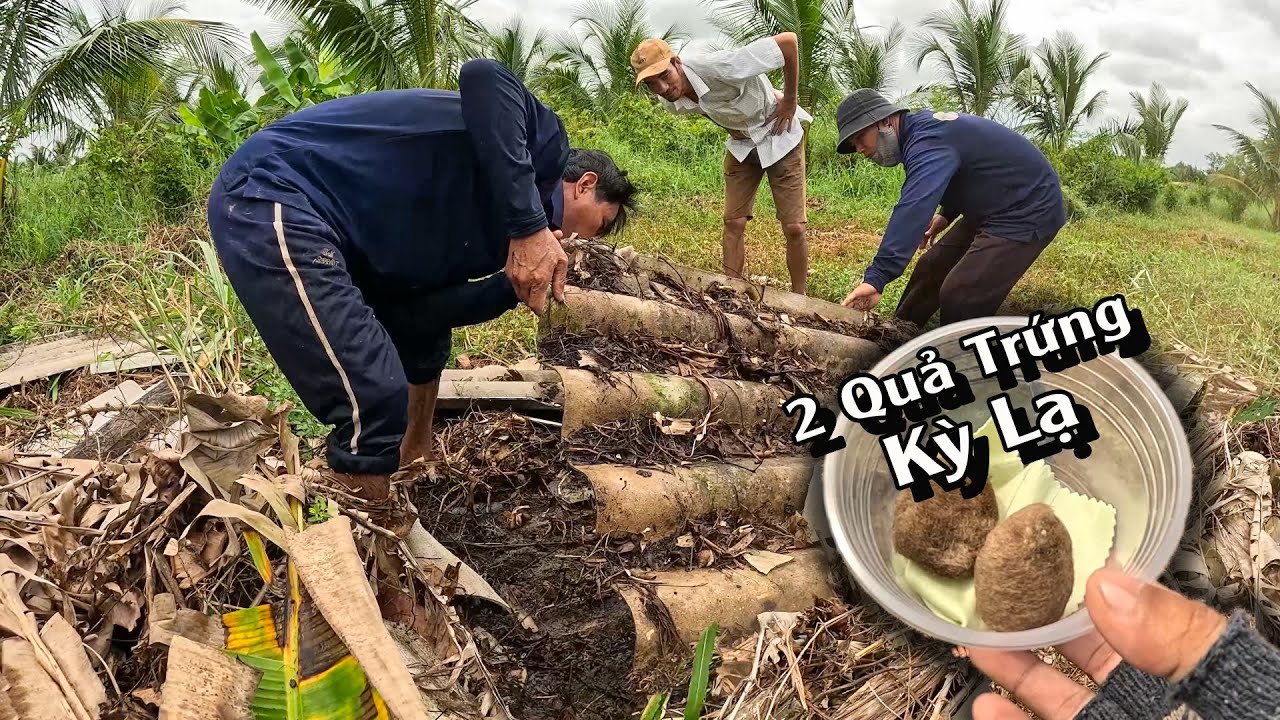 Sau 10 THÁNG để tìm kiếm một địa điểm, và đây là những gì tìm thấy! | TGSB #1001
