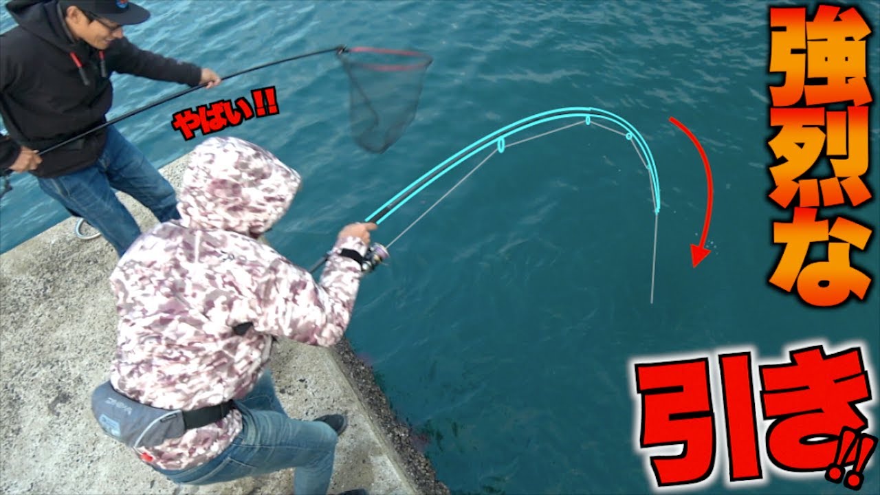 アジの泳がせ釣りしてたら竿をブチ曲げる魚が掛かって！？