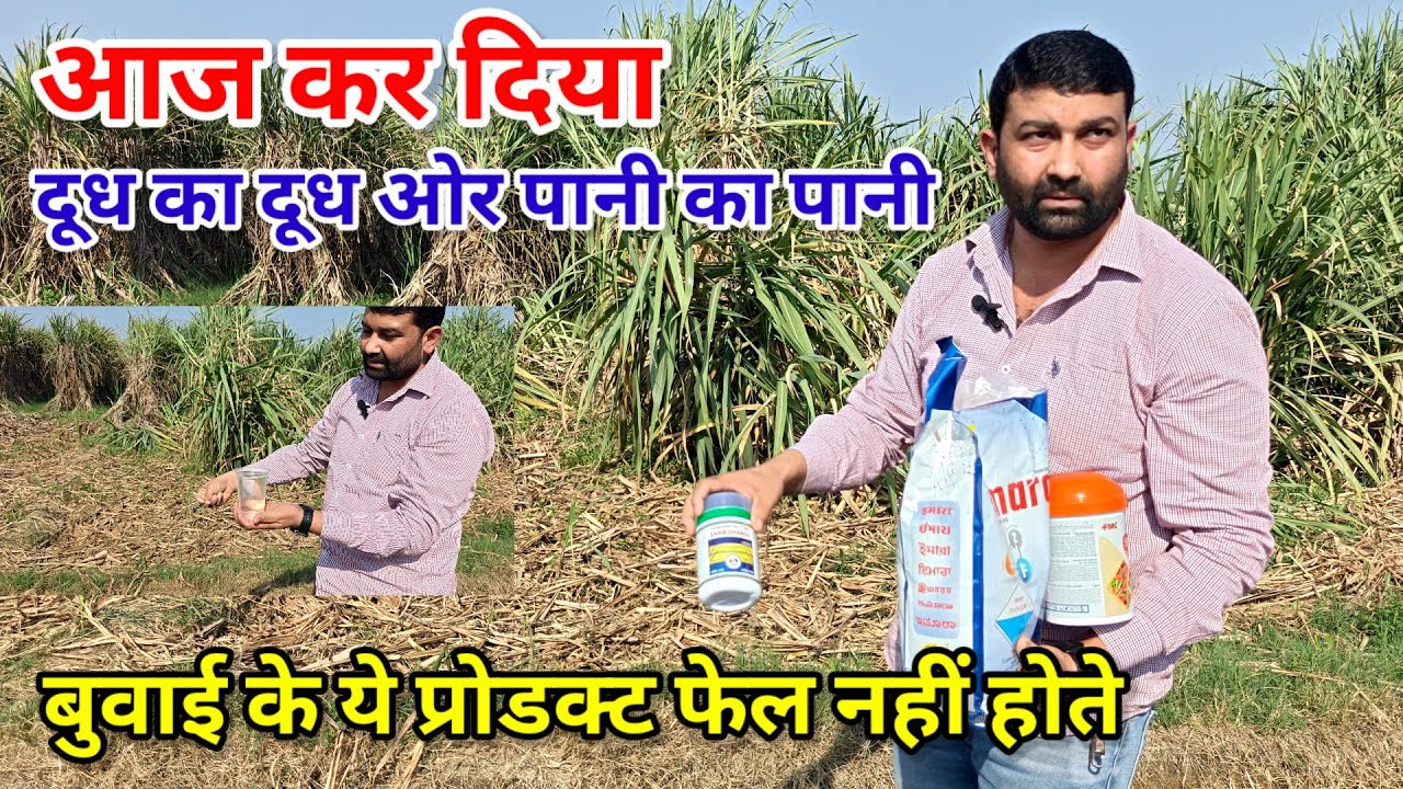ये प्रोडक्ट फेल नहीं होते। Ganna buvai me khaad or dvai। #manojrajput 