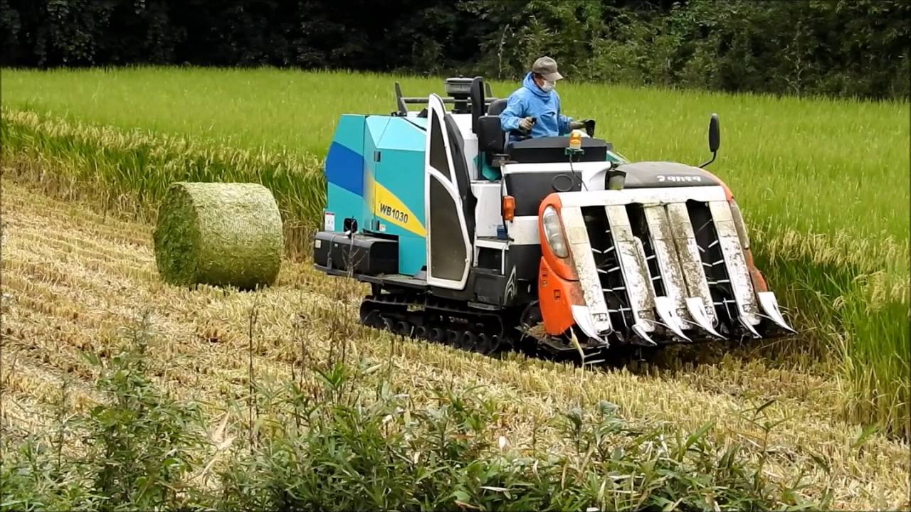 コンバイン？　稲刈り取り機　20161013-1