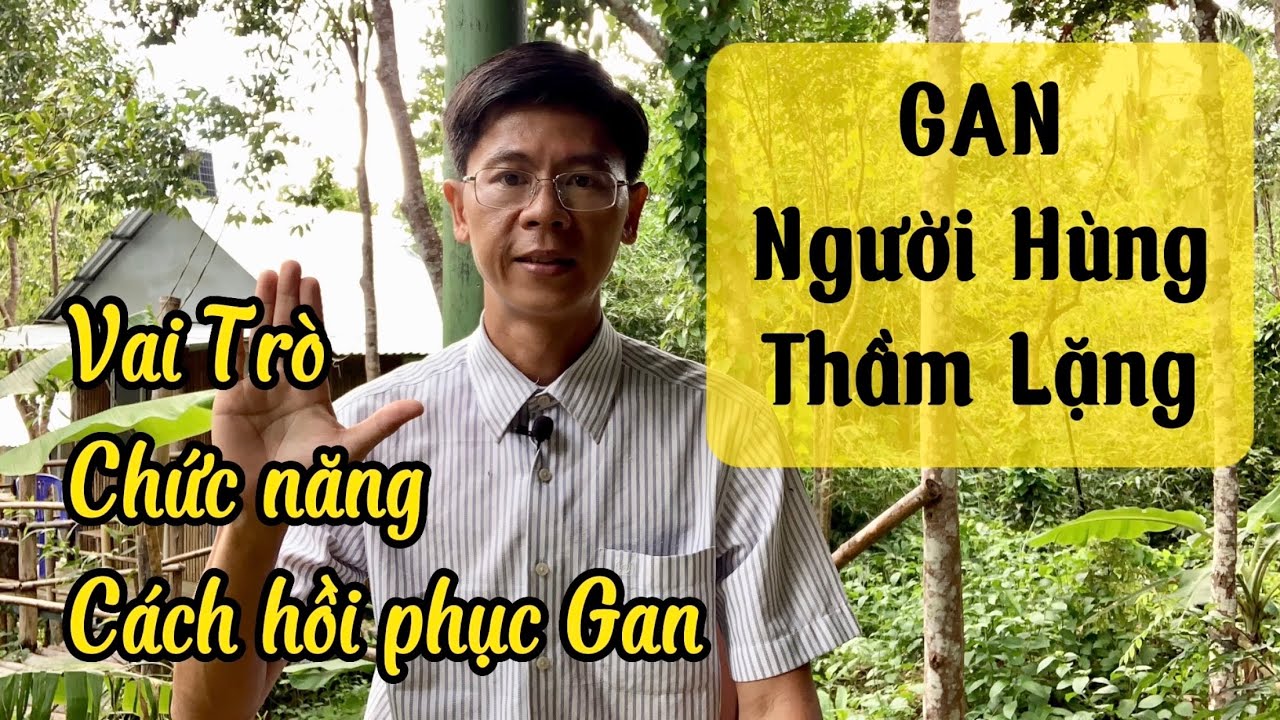 Gan - Người hùng thầm lặng với Sức Khoẻ - Chức năng Gan và Cách phục hồi giữ gìn Gan khoẻ mạnh?