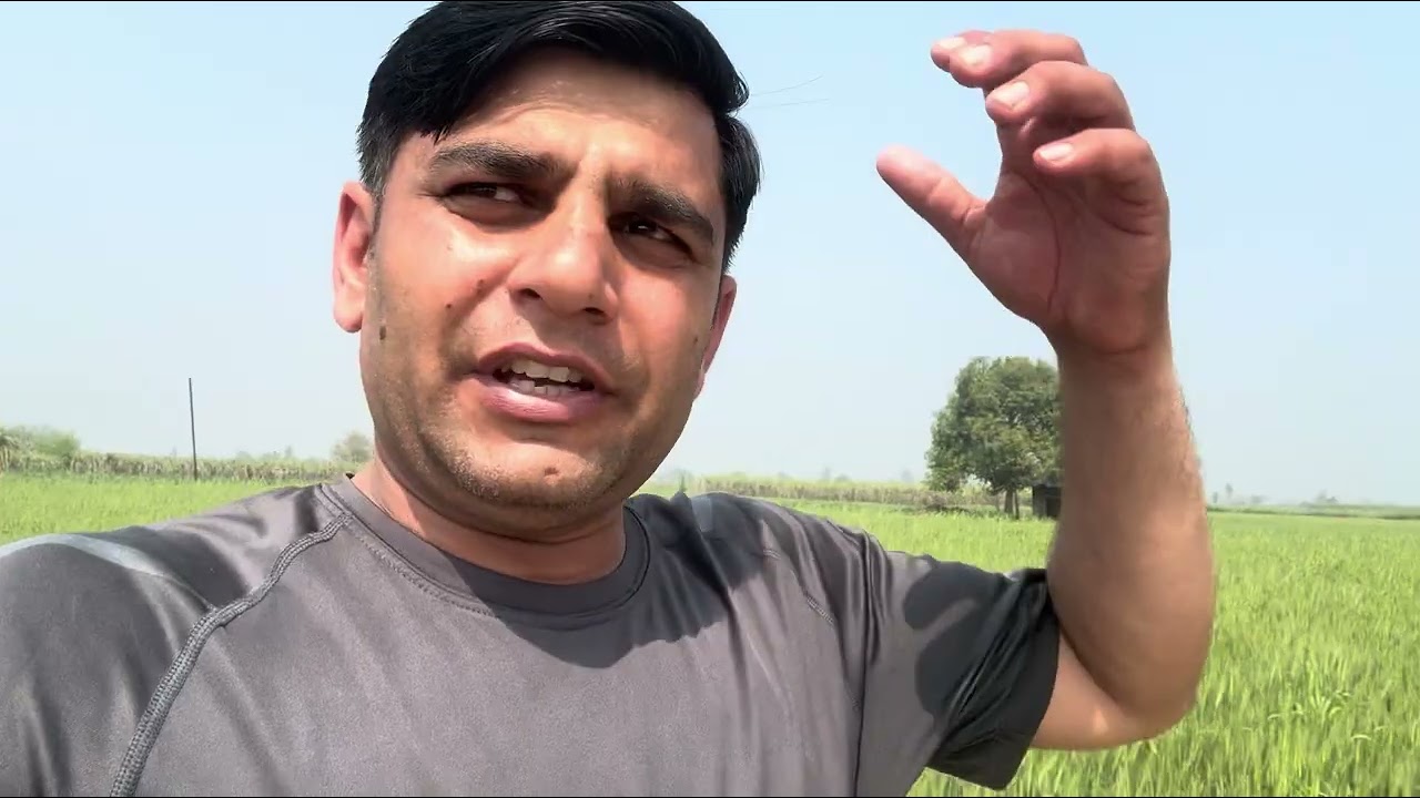 Desi vlog no 113 | aaj pura din khet m hi gya 