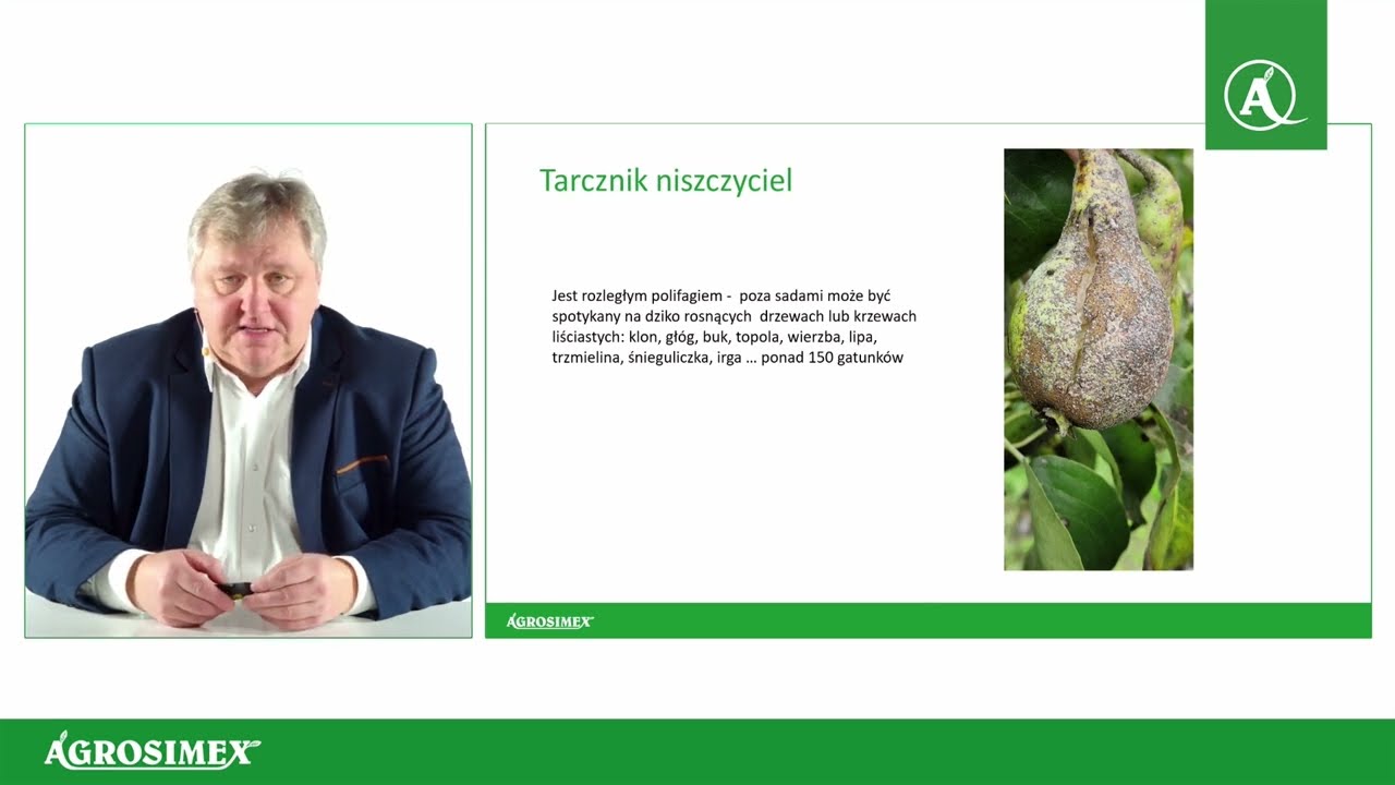 Tarcznik niszczyciel - realne zagrożenie w sadach | Konferencja Sadownicza Agrosimex