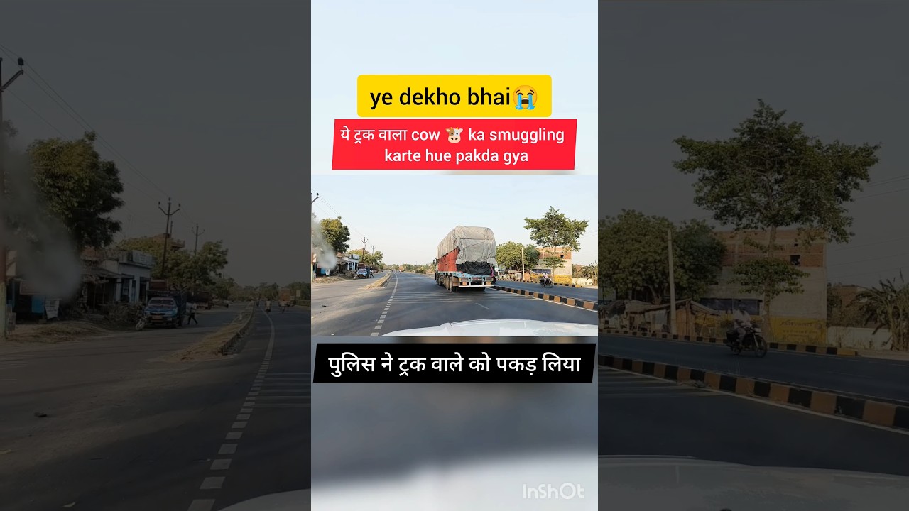 cow 🐮smuggling india🇮🇳 me kab rukegi😡 hmari police mili hui hai inse #truck #tata #automobile #facts