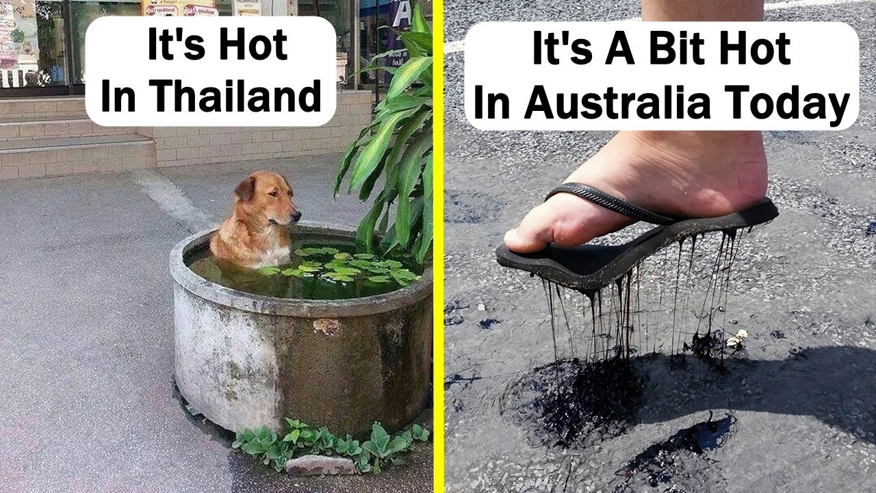 Photos Of People Trying To Get Through The Summer Heatwave