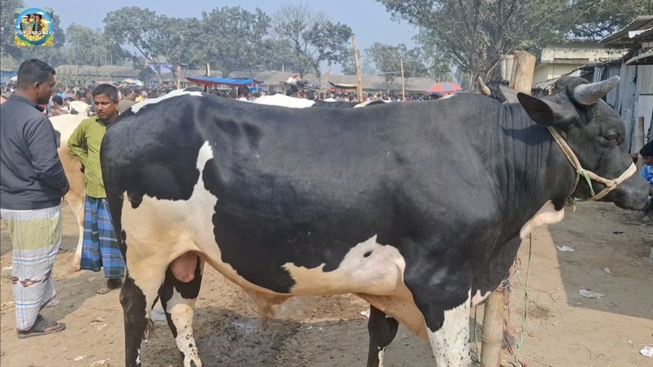 @ মঙ্গলবার ১০ ফেব্রু