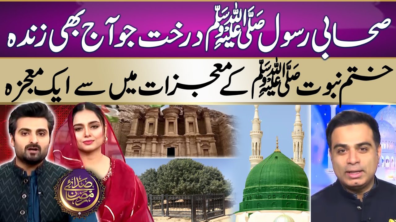 Sahabi Tree History | Blessed Tree In Jordan | 1400 Years Old Sahabi Tree | Ramadan 2025