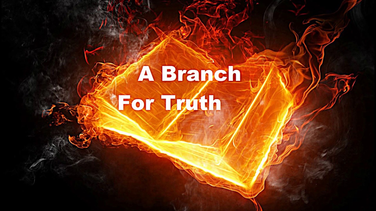New Channel:  Truther Channel