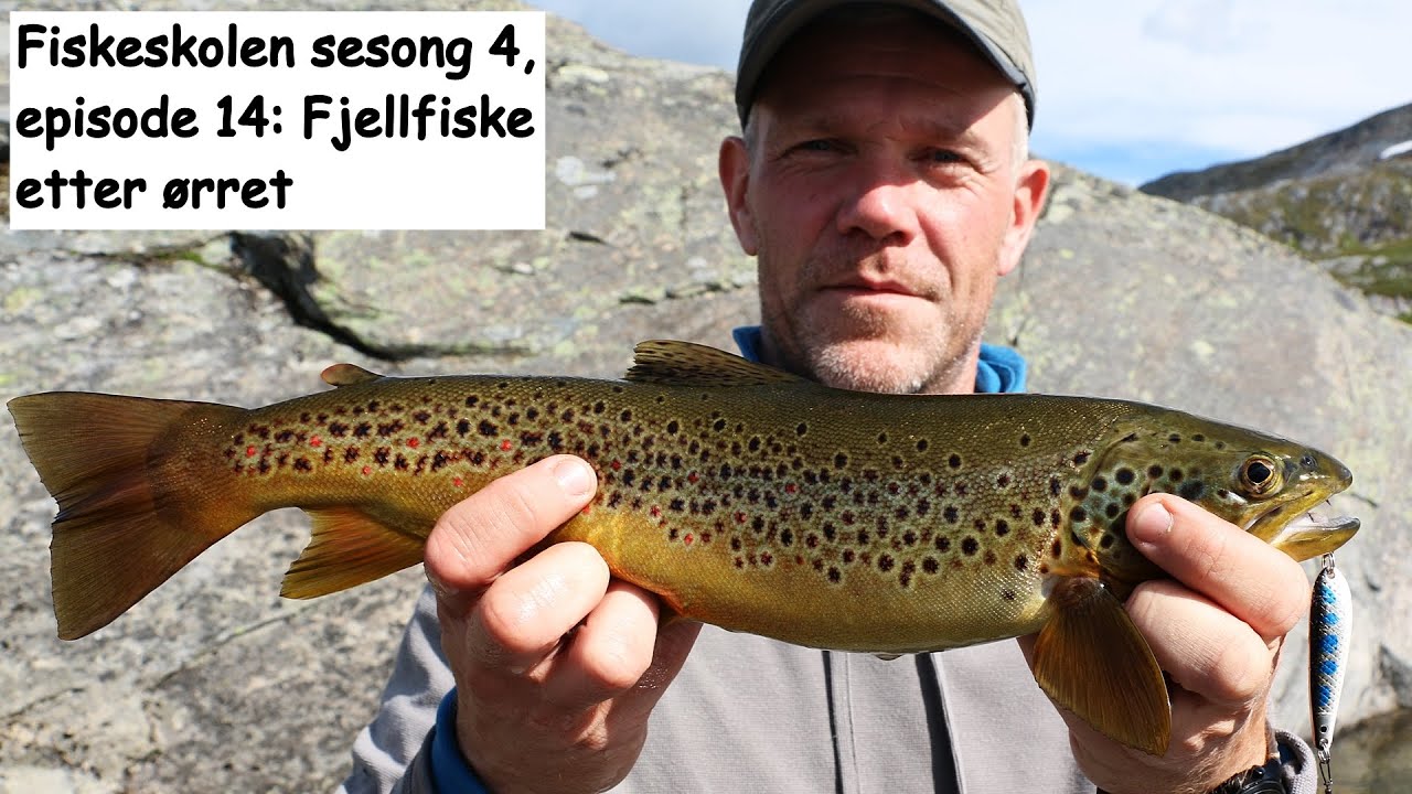 Fiskeskolen sesong 4 , episode 14: Fjellfiske etter ørret