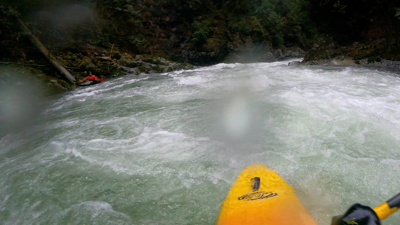 Lynn Creek - Sky High Rapid Swim, 21.3 cms, Jan 31, 2026