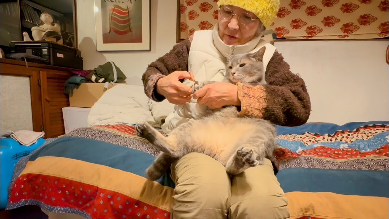 晩ごはんの前に天然酵母パンをつくる準備して.. 美味しいウエットを完食して.. ストーブガードで引っかかった爪を切って貰い..  キャッチミーでテンション上がる猫・・・