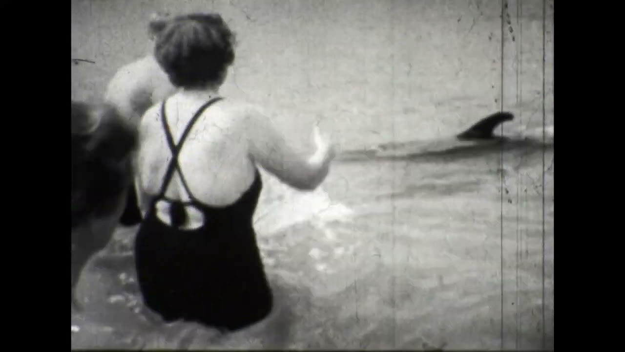 Two Famous Dolphins - Opo the friendly dolphin and Pelorus Jack