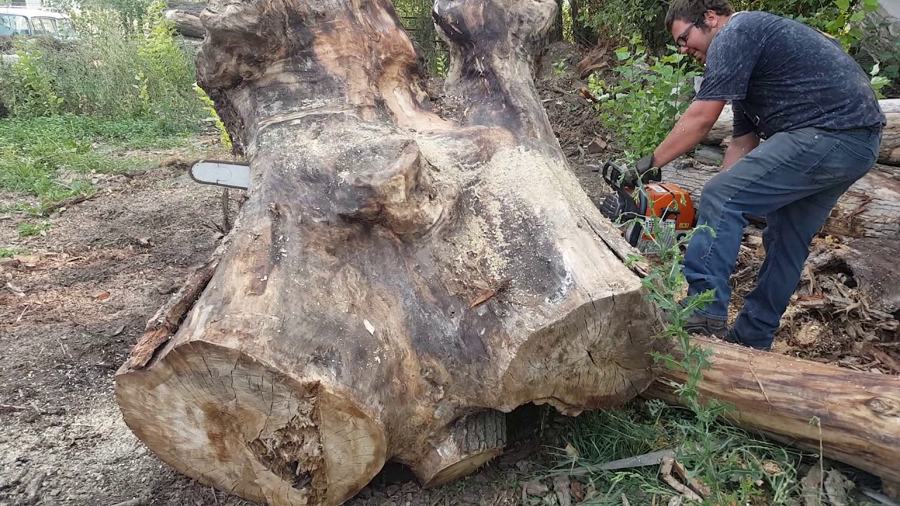 Бензопила Stihl MS880 с 6-футовой шиной