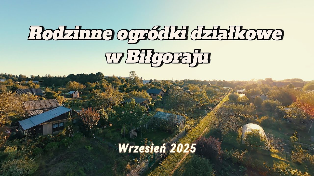 Rodzinne ogr&oacute;dki działkowe w Biłgoraju | Biłgoraj z drona &ndash; barwy jesieni z lotu ptaka