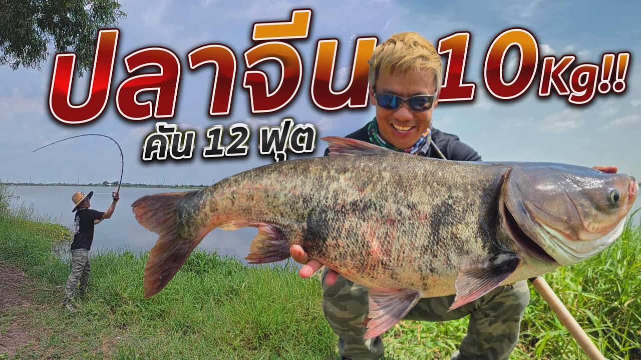 คัน 12 ฟุต ตกปลาจีน 10kg.!! บึง 200 ไร่