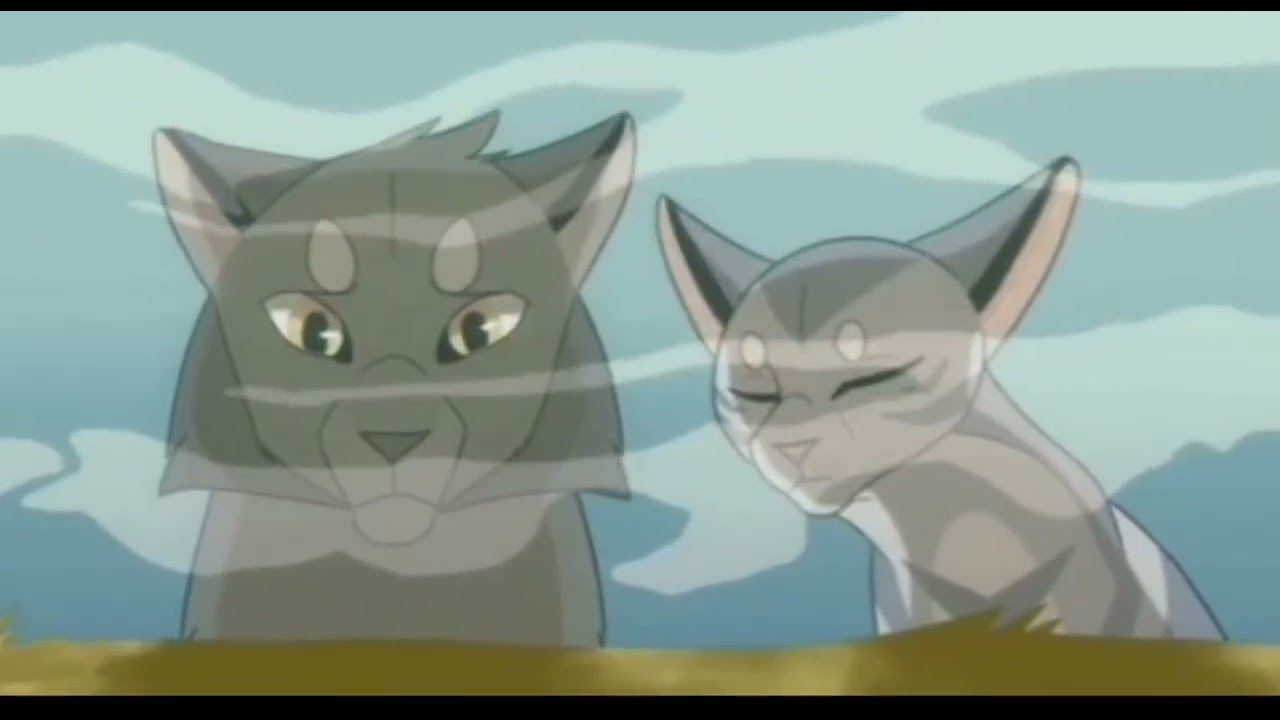 Коты воители Крутобок и Серебрянка песня Я скучаю #коты_воители #warriorcats #котывоители #песня 