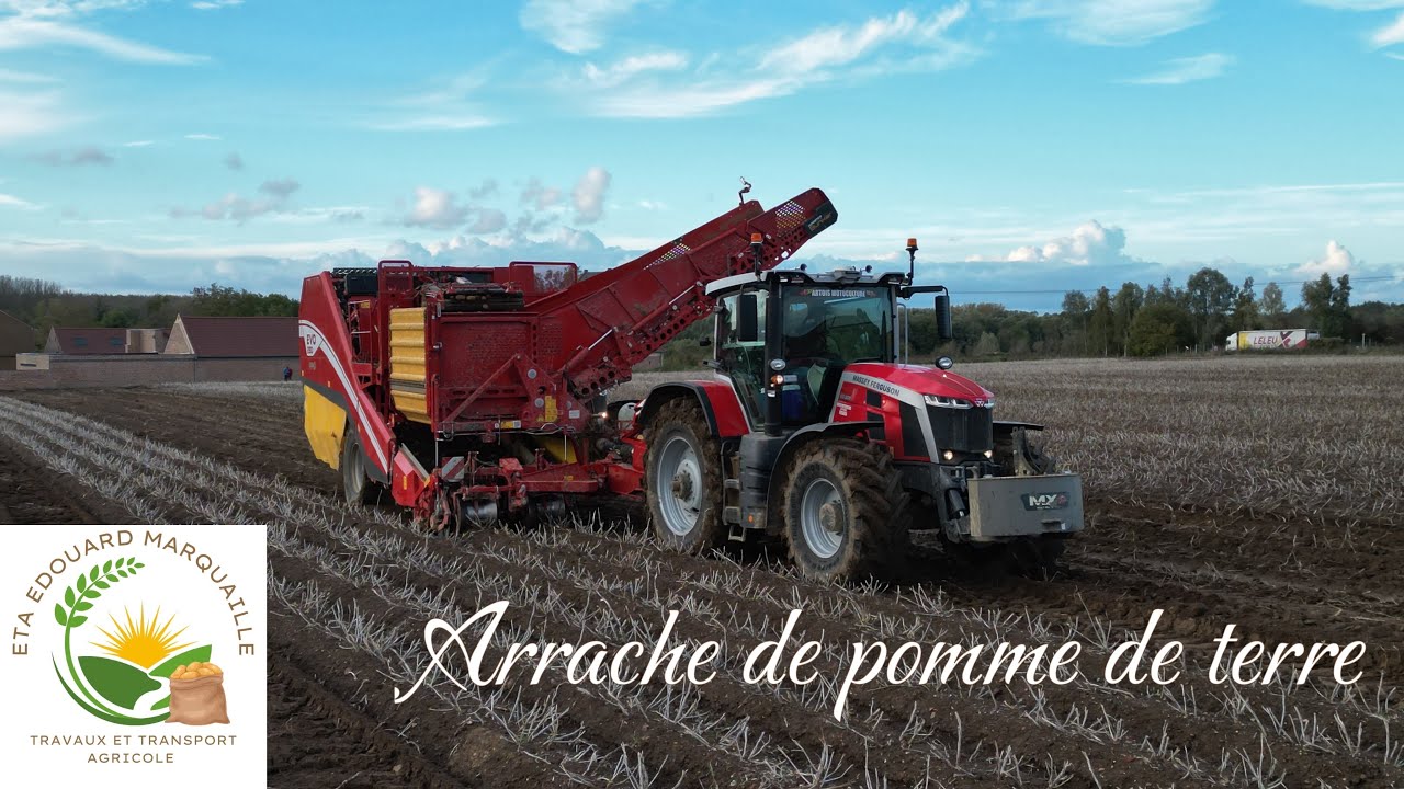 Arrachage de pomme de terre avec l’ETA MARQUAILLE en FULL Massey 2K23