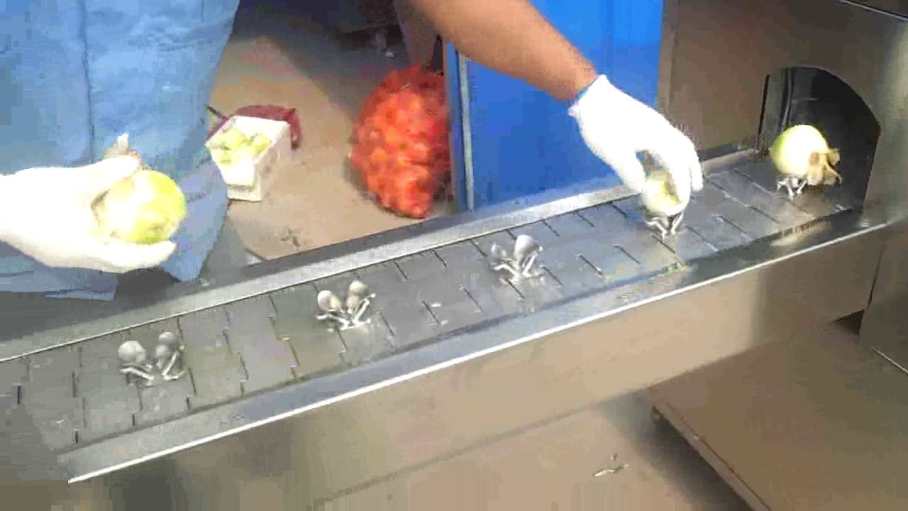 Onion peeling machine and Onion top and tail cutting machine