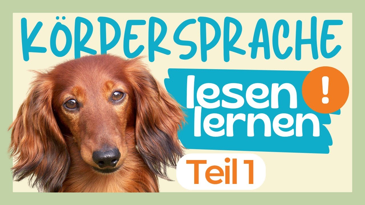 😧 ARMER HUND! K&Ouml;RPERSPRACHE = SCHWERE SPRACHE? SO LERNST DU SIE 🔥