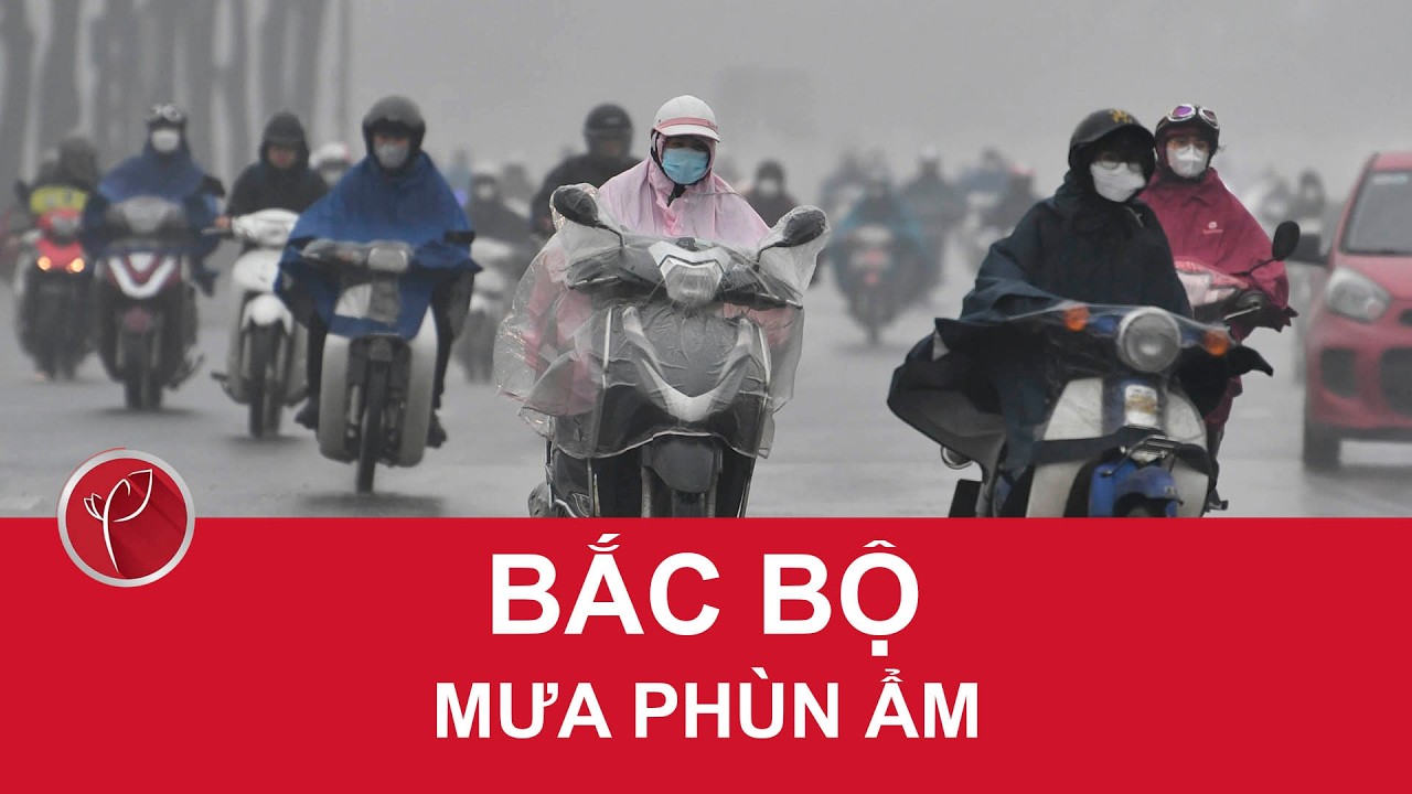 Dự báo thời tiết ngày mới 24/2| Bắc Bộ mưa phùn ẩm, không khí lạnh được tăng cường yếu